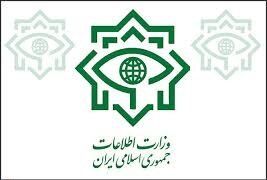 وزارت اطلاعات به انتشار خبر حضور ۱۹۸ مدیر دو تابعیتی در پست‌های مدیریتی واکنش نشان داد