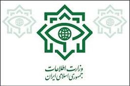 وزارت اطلاعات به انتشار خبر حضور ۱۹۸ مدیر دو تابعیتی در پست‌های مدیریتی واکنش نشان داد
