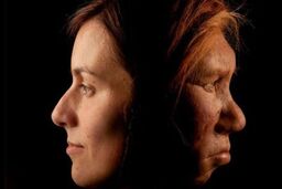 ژن نئاندرتال ها عامل اسکیزوفرنی و سل پوستی