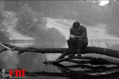 حضور فیلم سینمایی «ما اینجاییم، ما نزدیکیم» در جشنواره جهانی فیلم فجر