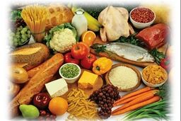شرایط سرمایه‌گذاری در بخش کشاورزی و صنایع غذایی ایران تشریح شد