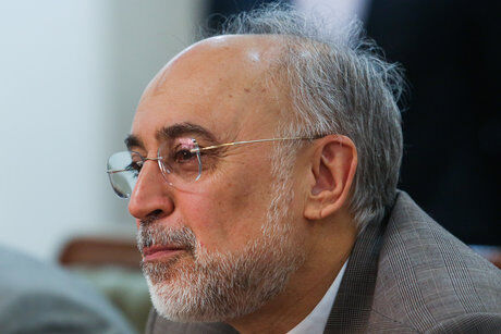 صالحی: اگر تحریم‌ها عملیاتی شود نقض برجام است