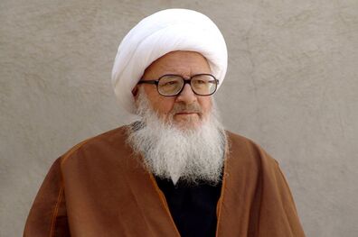 تأکید آیت الله وحید خراسانی بر اهمیت یاری رسانی به سیل زدگان