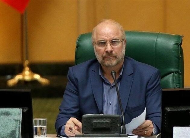 باید ذخایر فیلم‌ها و تصاویر در دوربین‌های سازمان انرژی اتمی حذف شود