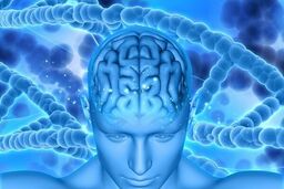 تولید دستگاه ثبت سیگنال های مغزی ۳۲ تا ۱۲۸ کاناله