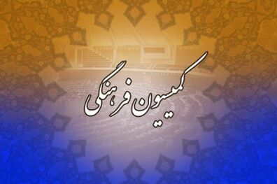 بررسی لایحه وزارت ورزش در جلسه کمیسیون فرهنگی 
