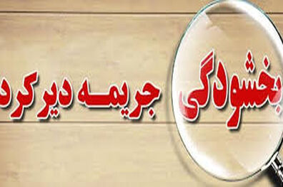 طرح جدید بخشودگی جرایم بانکی، سهامداران و سپرده گذارن بانکی را متضرر خواهد کرد/ این طرح به نفع بدهکارانی است که به هر دلیلی حاضر به پرداخت بدهی و جریمه خود نیستند