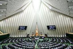 بررسی مشکلات موسسات مالی و اعتباری با حضور سیف در مجلس