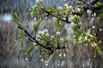 فعالیت سامانه بارشی در کشور