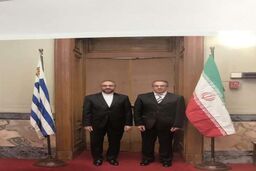 استقبال رئیس مجلس اروگوئه از همکاریهای پارلمانی با ایران
