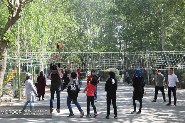 علت آتش سوزی پارک چیتگر تهران اعلام شد