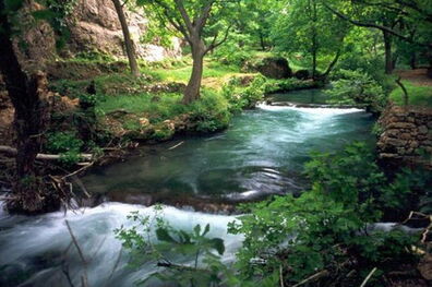 وجود 206 روستای گردشگری در مازندران