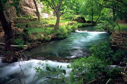 وجود 206 روستای گردشگری در مازندران