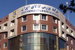 عرضه 80 هزار تن گندم خوراکی در بورس کالا 
