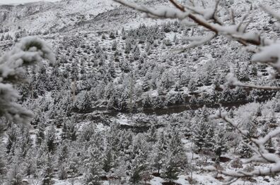 بارش برف و باران در ۸ استان