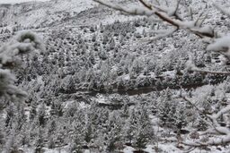 بارش برف و باران در ۸ استان