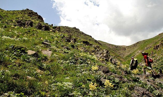 منابع طبیعی سرمایه های ملی و متعلق به تمامی نسل ها هستند