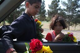 ما با پیمانکاران برخورد می کنیم نه با کودکان کار! 