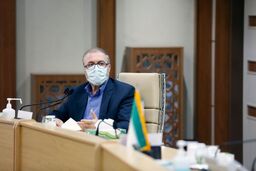 دیدار معاون وزیر کشور با نخست وزیر عراق با هدف تسهیل مراسم اربعین