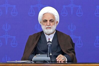 سازمان بازرسی کل کشور به نحوه اجرای قانون جامع حمایت از معلولان نظارت کند